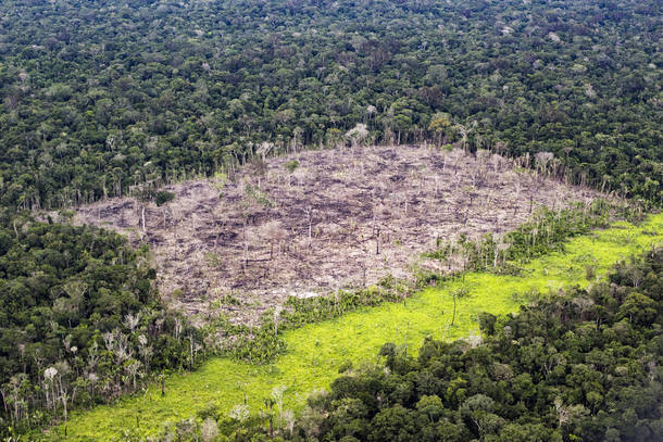 Forest Conservation Units in the Brazilian AmazonUnidade de Conservavßv£o na Amazv¥nia