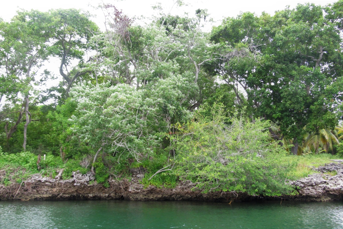 Ilha do Rosario, Colômbia