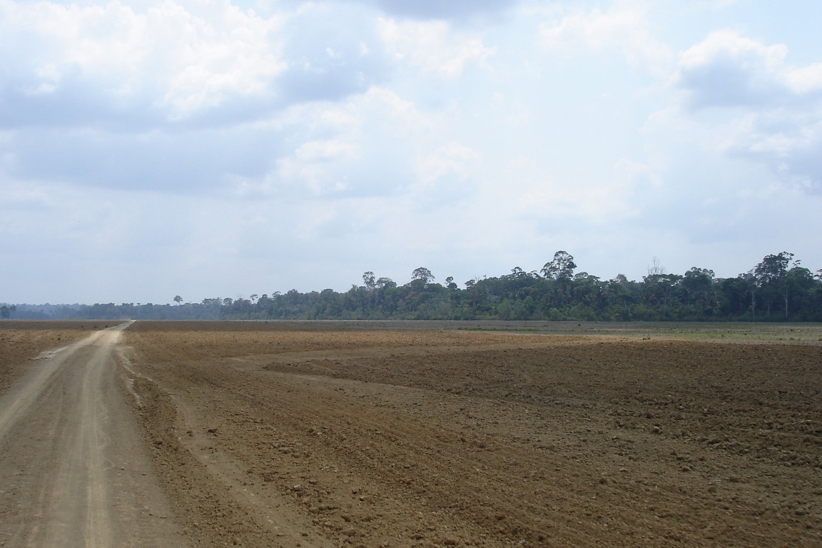 Desmatamento na Amazônia. Foto de Frank Krämer