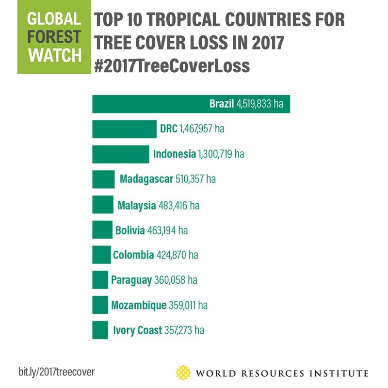 brasil-pais-maior-perda-florestal-conexao-planeta