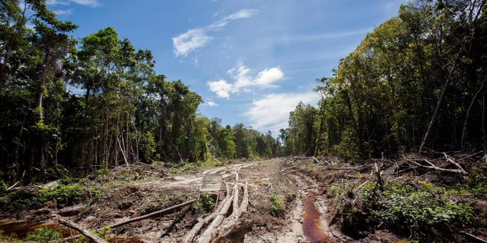 Amazonas en Riesgo