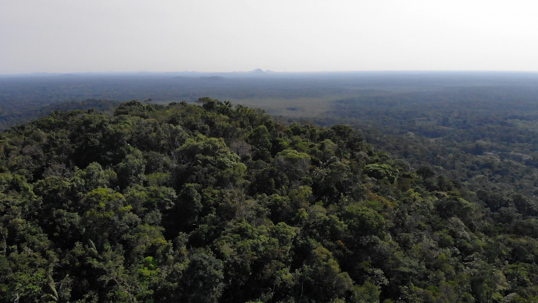 17.SelvasVaupesCerros_FotoAgendaPropia