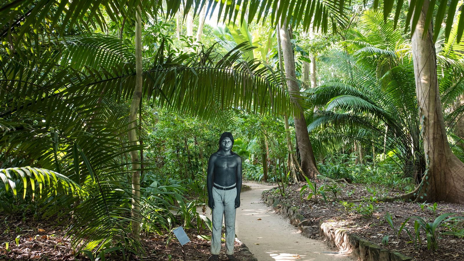 brazil-indigenous-amazon-coronavirus-28