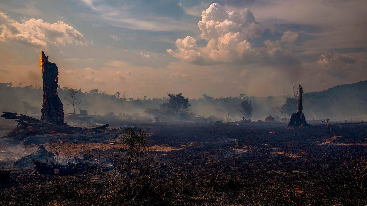 amazon-fire-1164446769