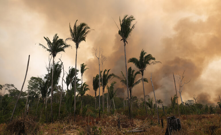 Amazonas en Riesgo