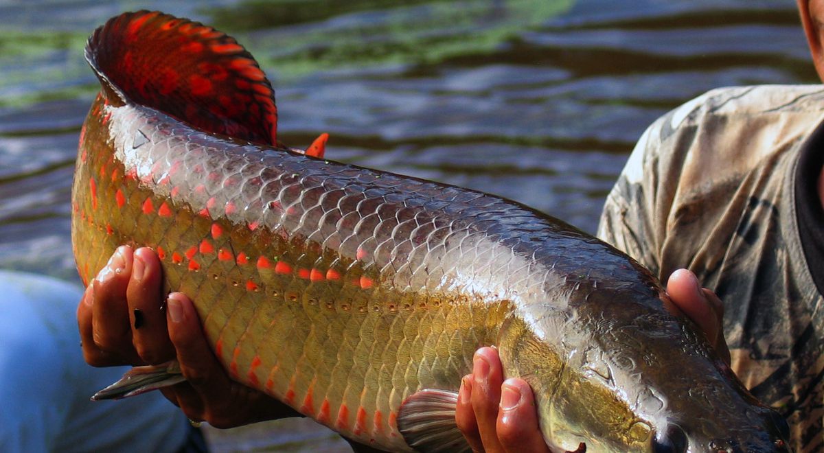 XXRATQR5HFFTZEPVB5FWQ3N77A