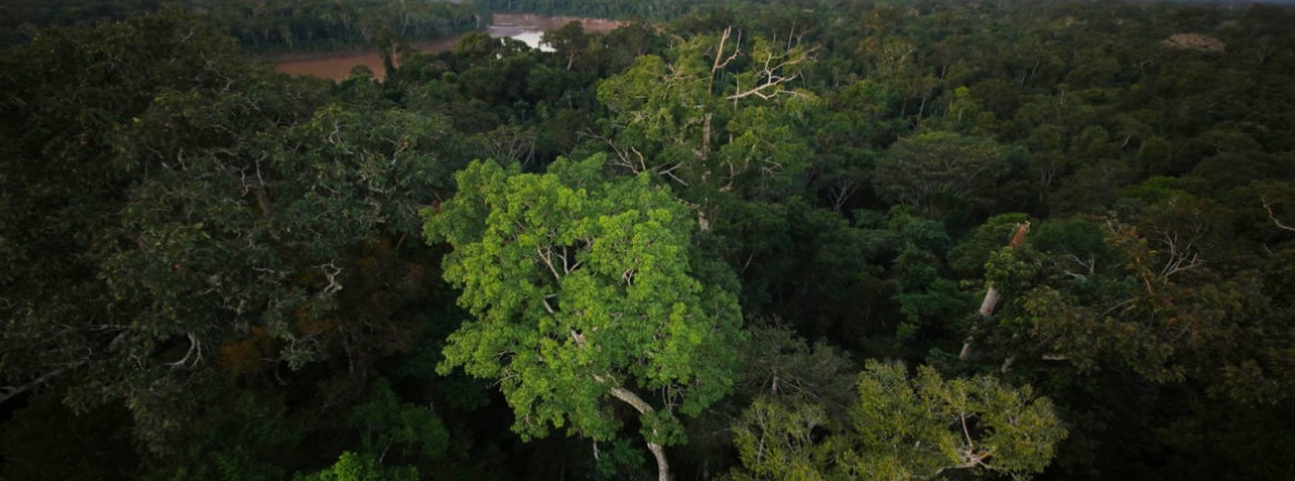 Captura de pantalla 2020-12-18 123245