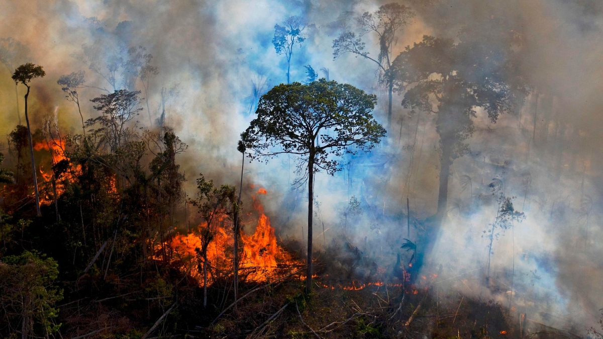 bosque_del_amazonas_esta_siendo_afectado_por_deforestacion_e_incendios.jpeg_2039590105