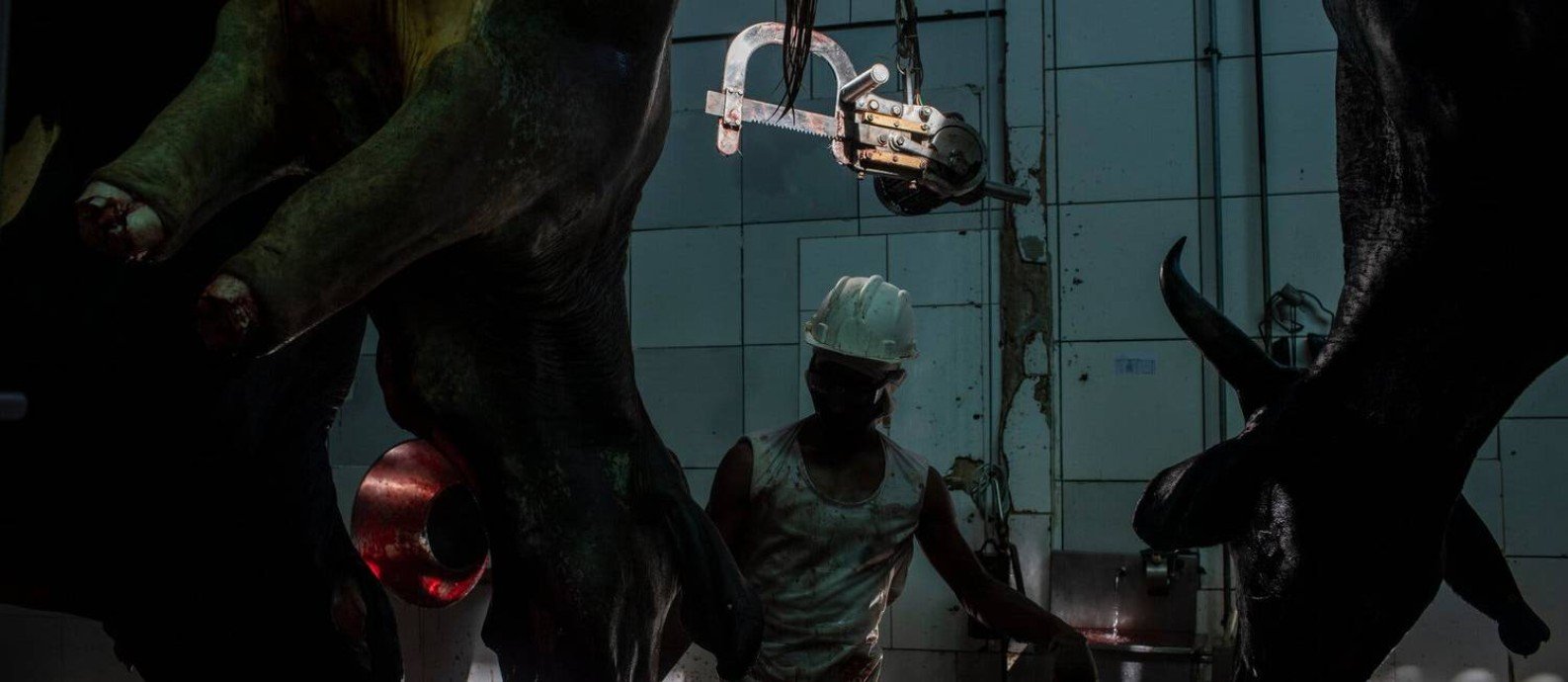 xleather.jpg.pagespeed.ic.Hr0yfhJ0jc