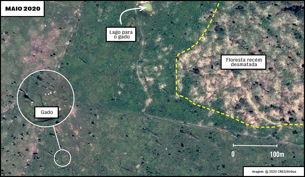 20211201-211201-relatorio-liga-grandes-marcas-de-moda-ao-desmatamento-da-amazonia