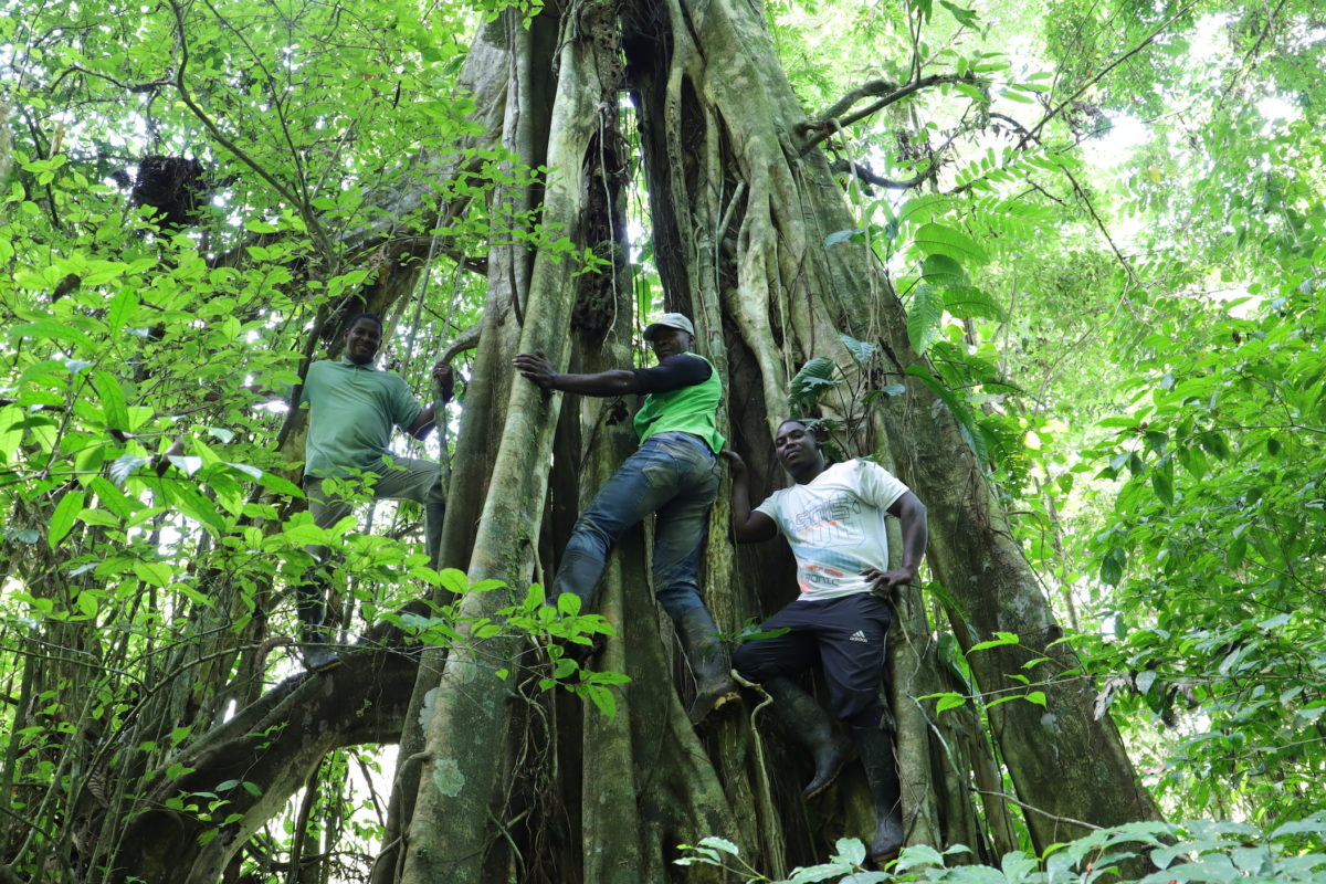 IMG_3800-1200×800-1