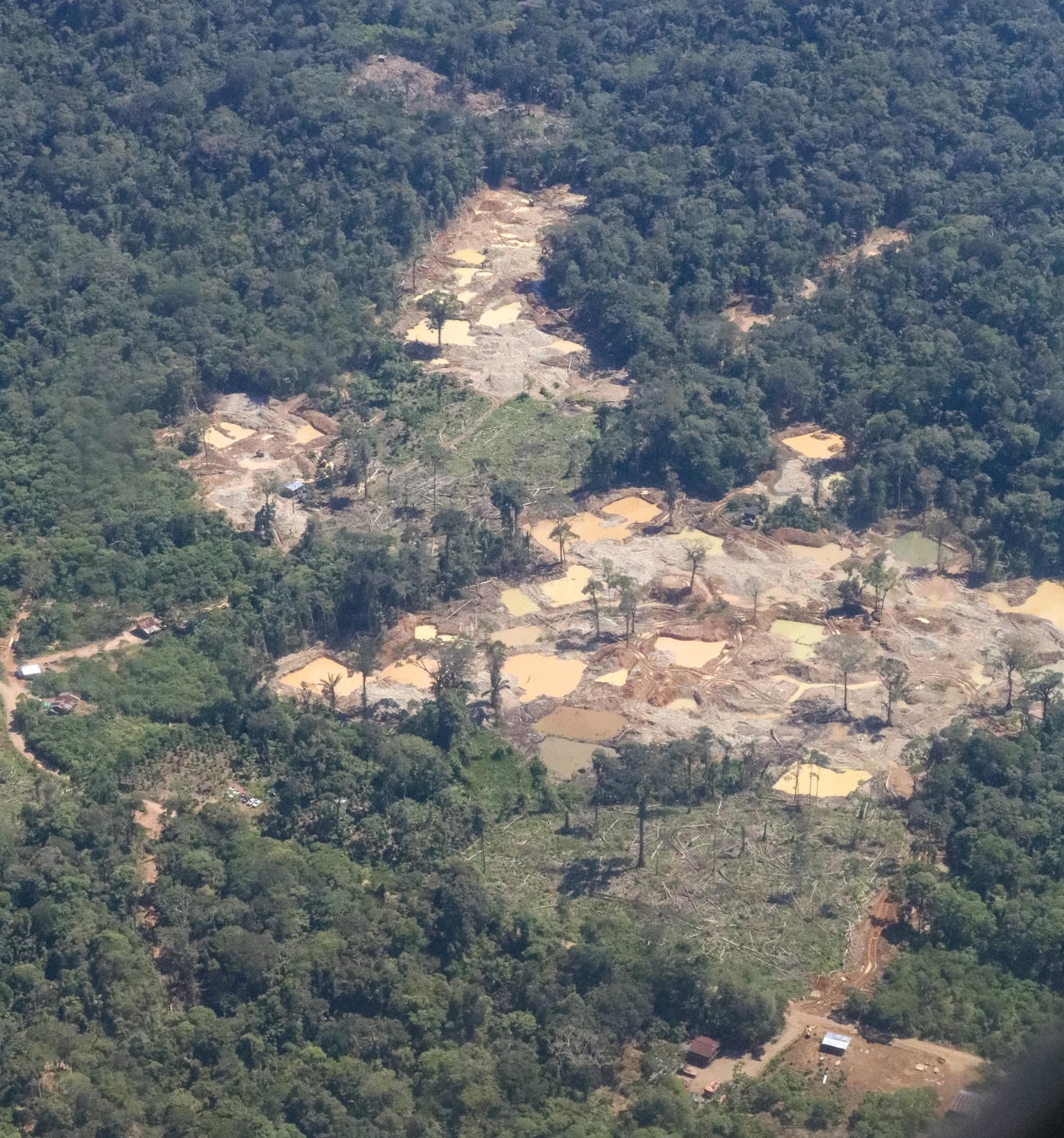 La minería ilegal crece voraz y amenazante en la Amazonía de Ecuador