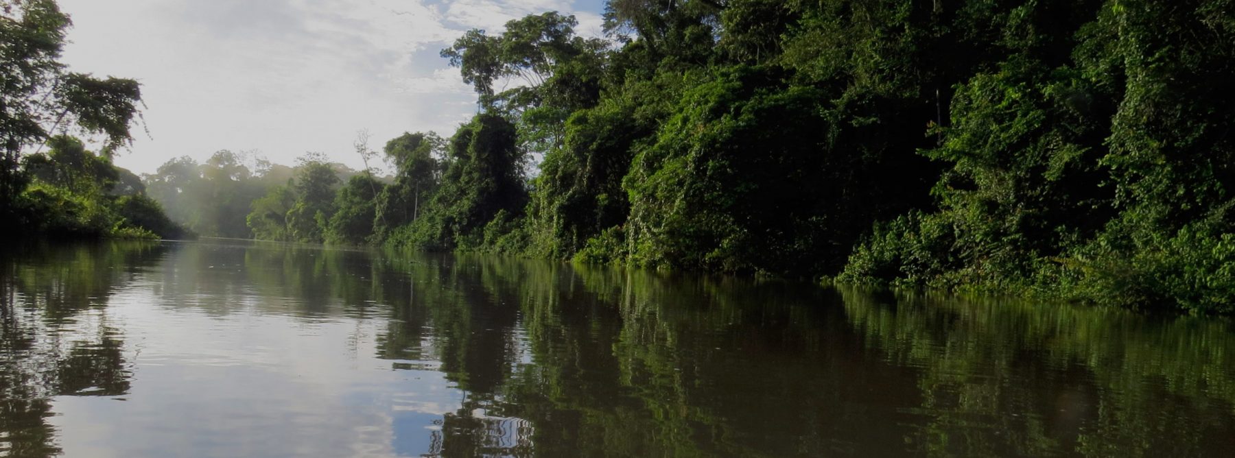 IMG_7641crop-2400×890